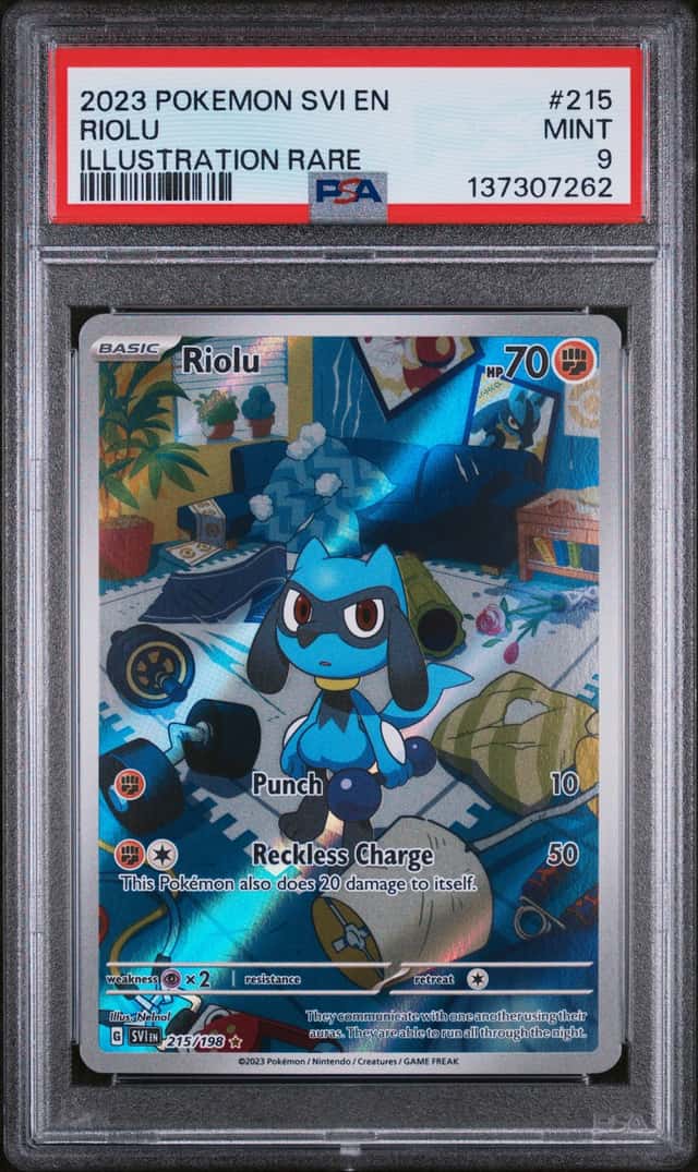 Riolu