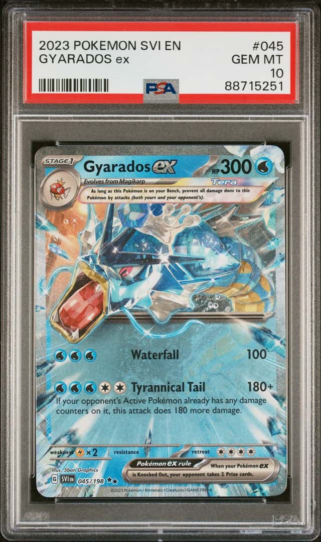 GYARADOS ex