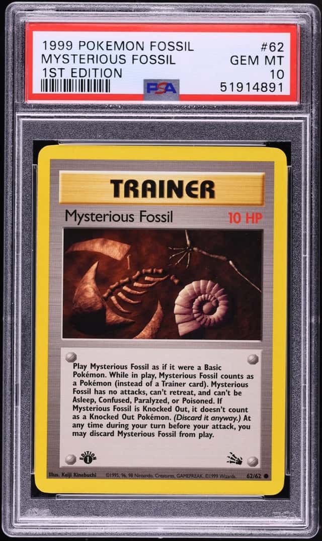 Mysterious Fossil
