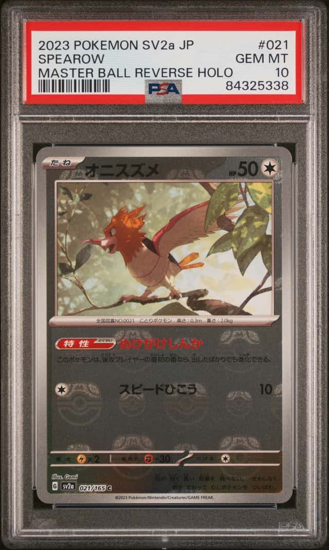 Spearow