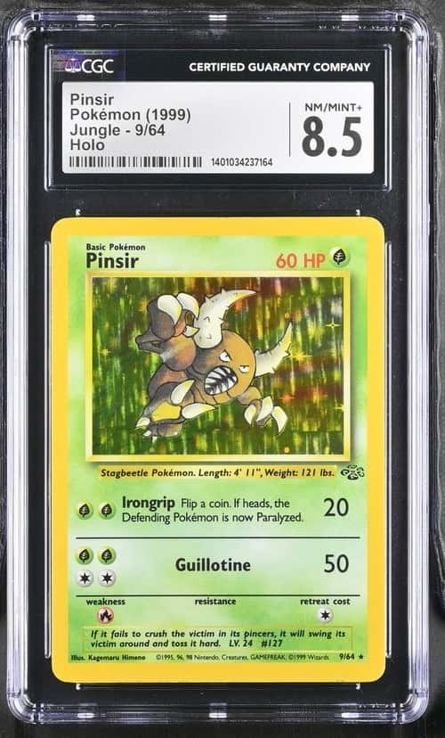 Pinsir
