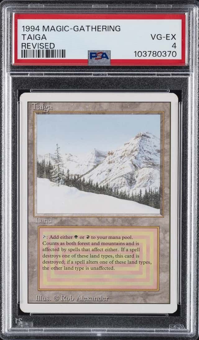 Taiga