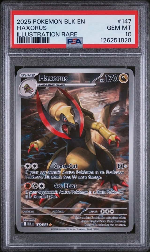 Haxorus