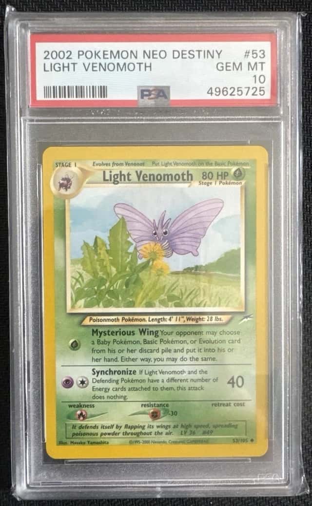 Light Venomoth