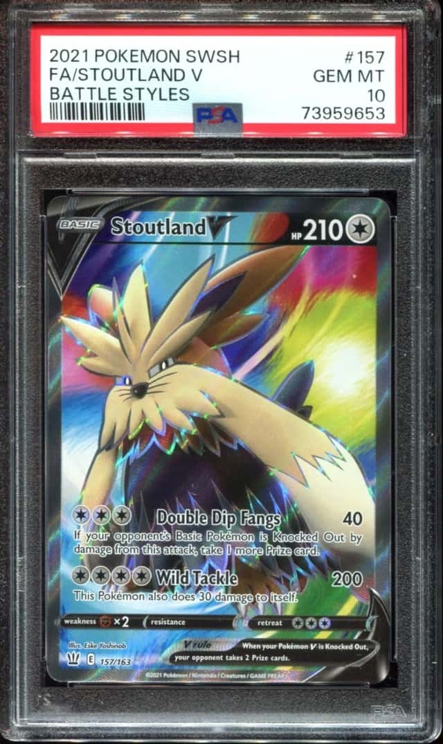 Stoutland V