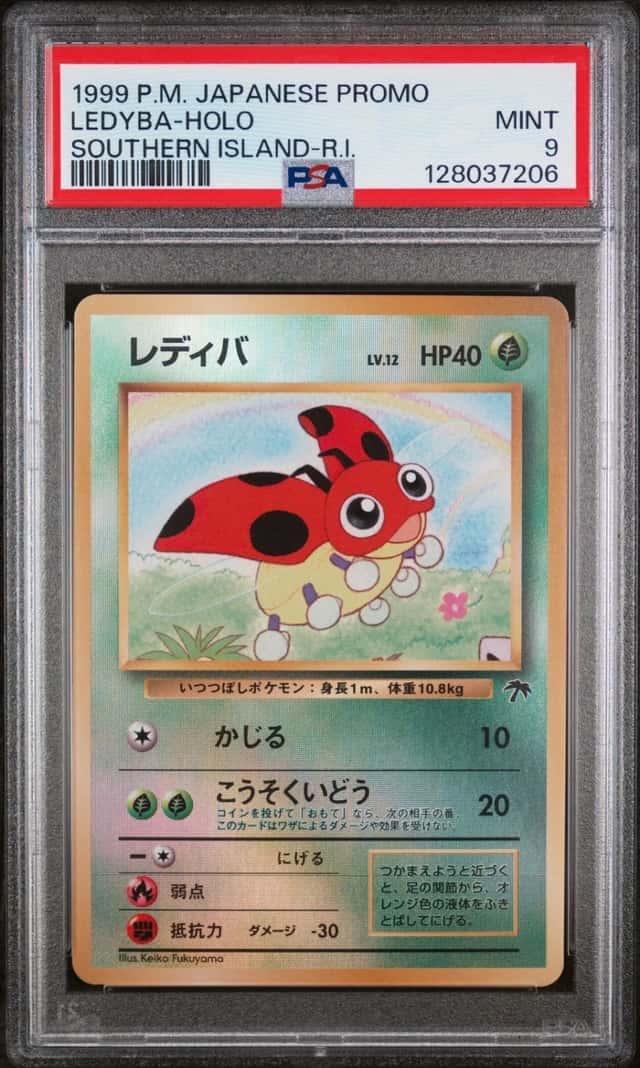 Ledyba