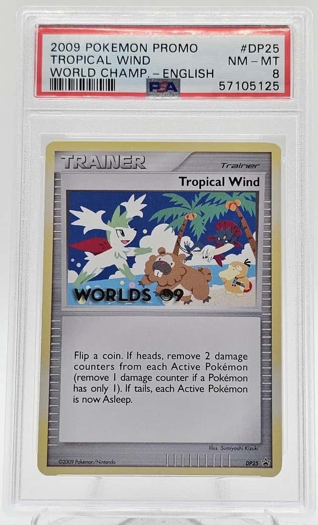Tropical Wind