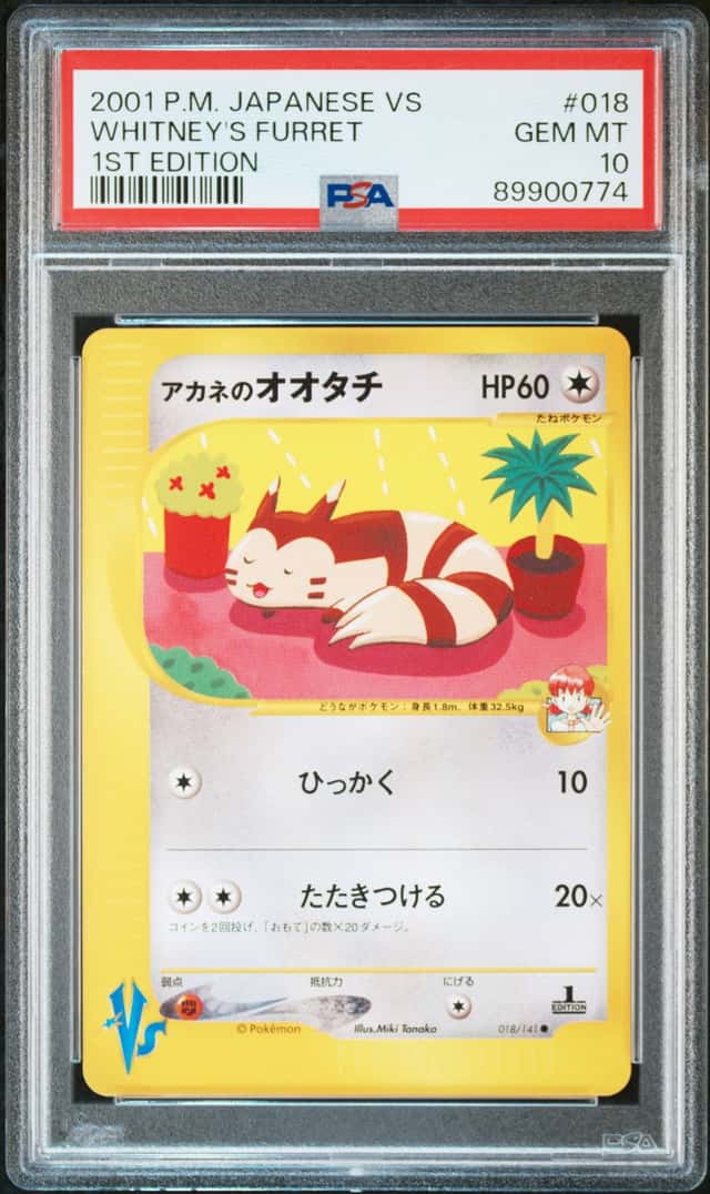 Whitney's Furret