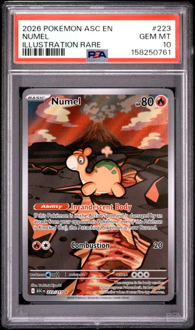 Numel