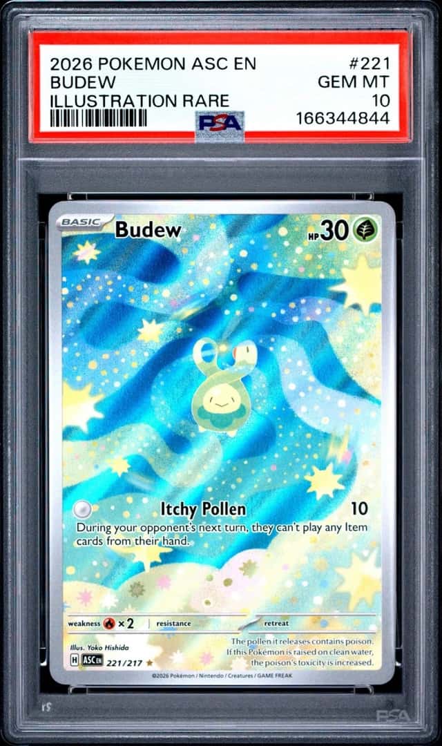 Budew