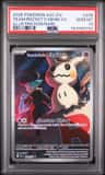 Team Rocket'S Mimikyu