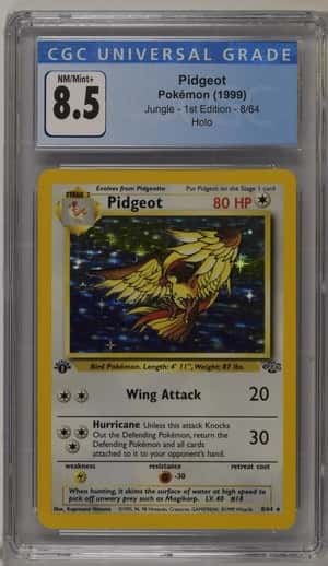 Pidgeot