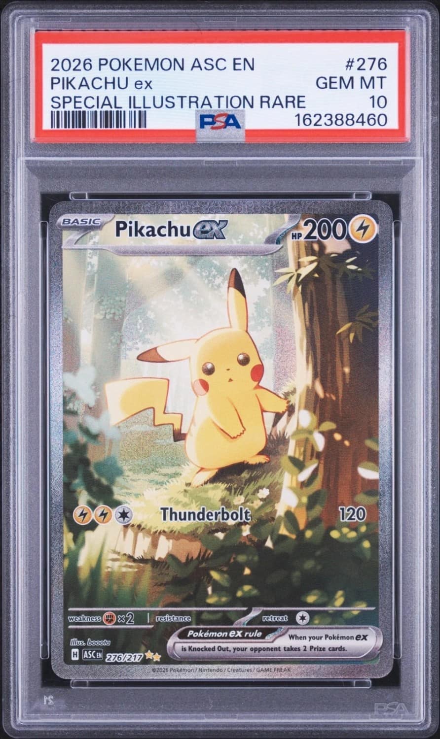 Pikachu Ex