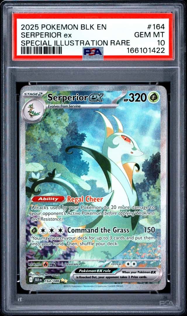 SERPERIOR ex