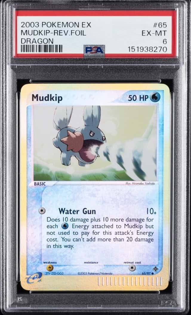 Mudkip