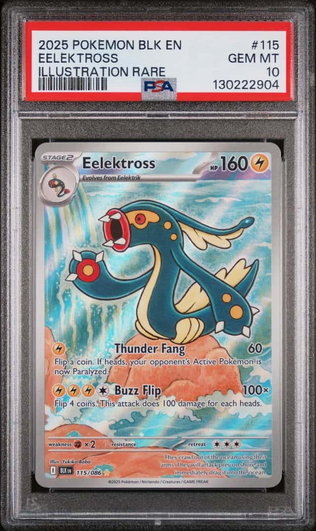 Eelektross