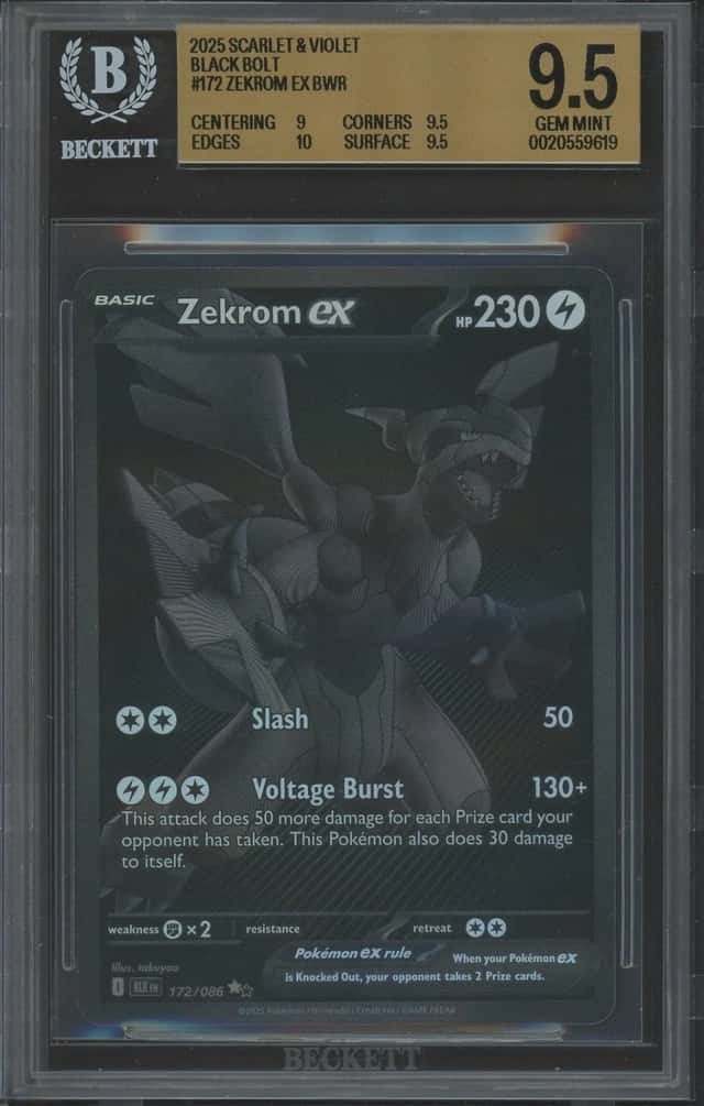 ZEKROM ex