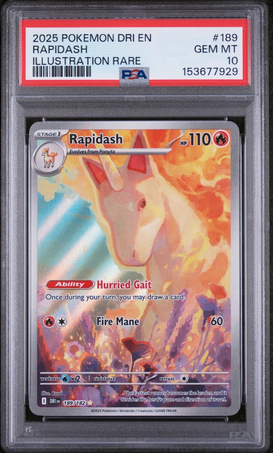 Rapidash