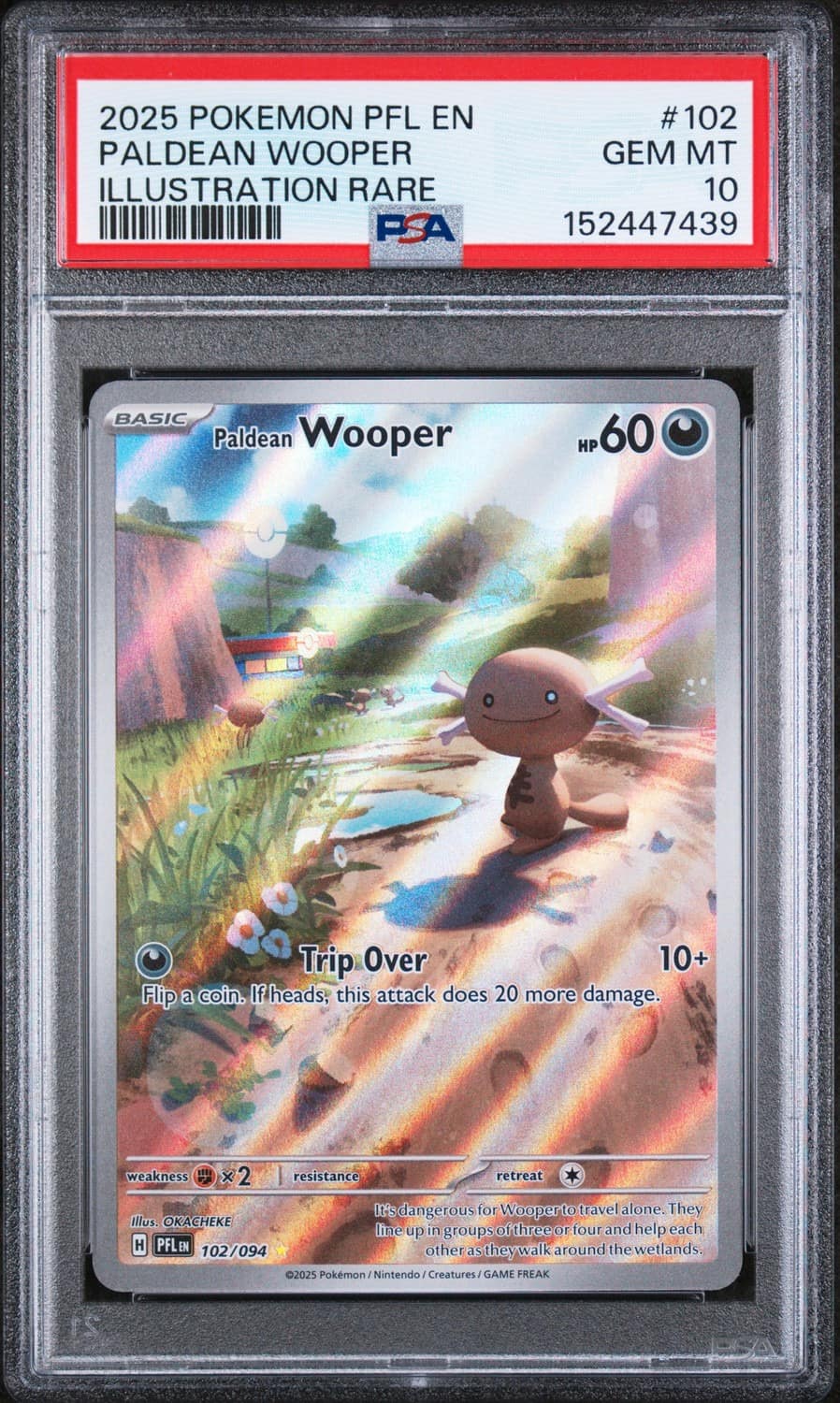 Paldean Wooper