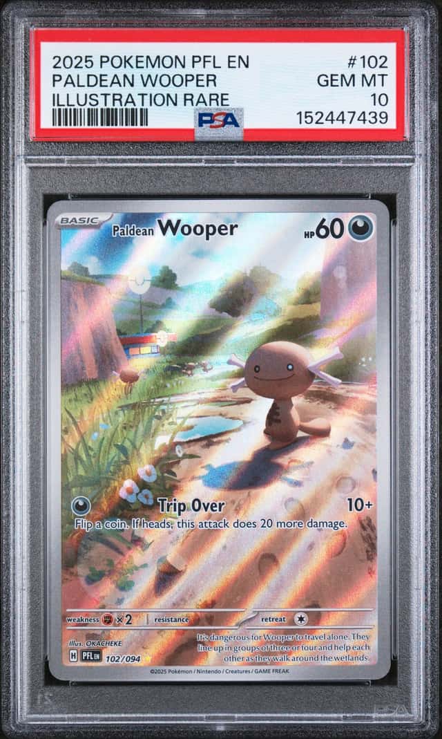 Paldean Wooper