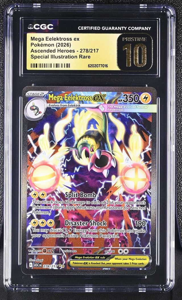 MEGA EELEKTROSS ex