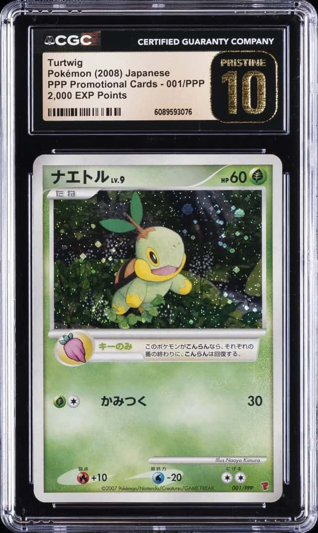 Turtwig
