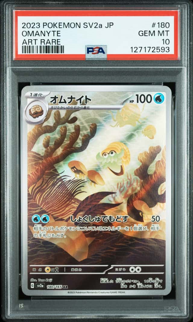 Omanyte