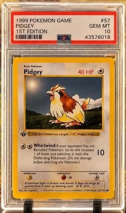 Pidgey