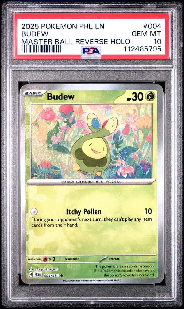 Budew