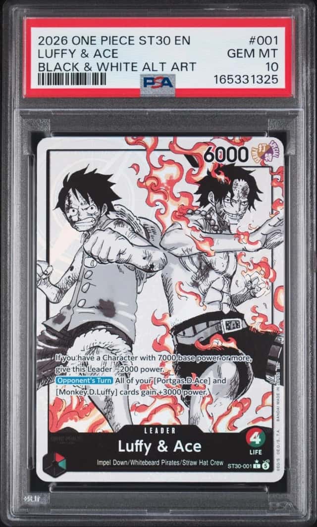 Luffy & Ace