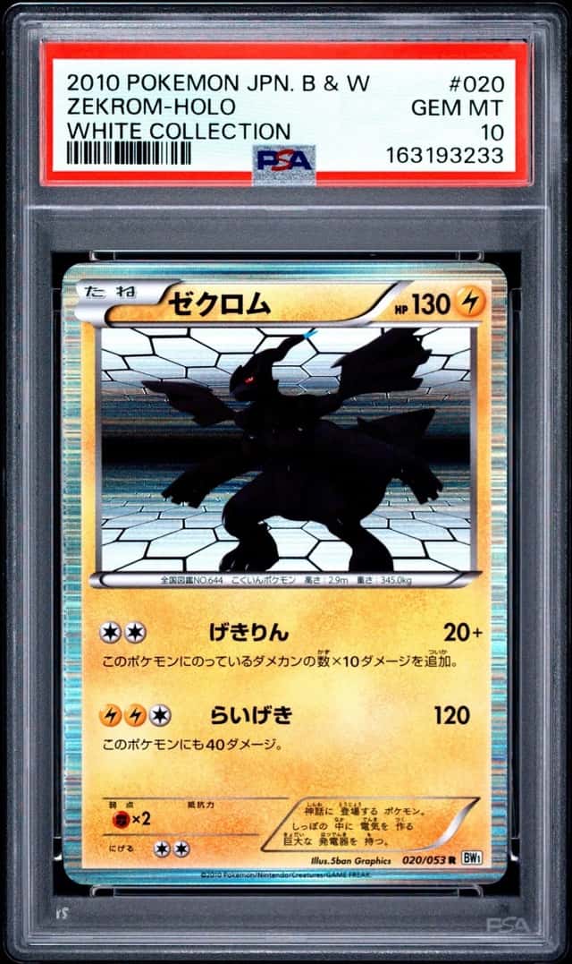Zekrom