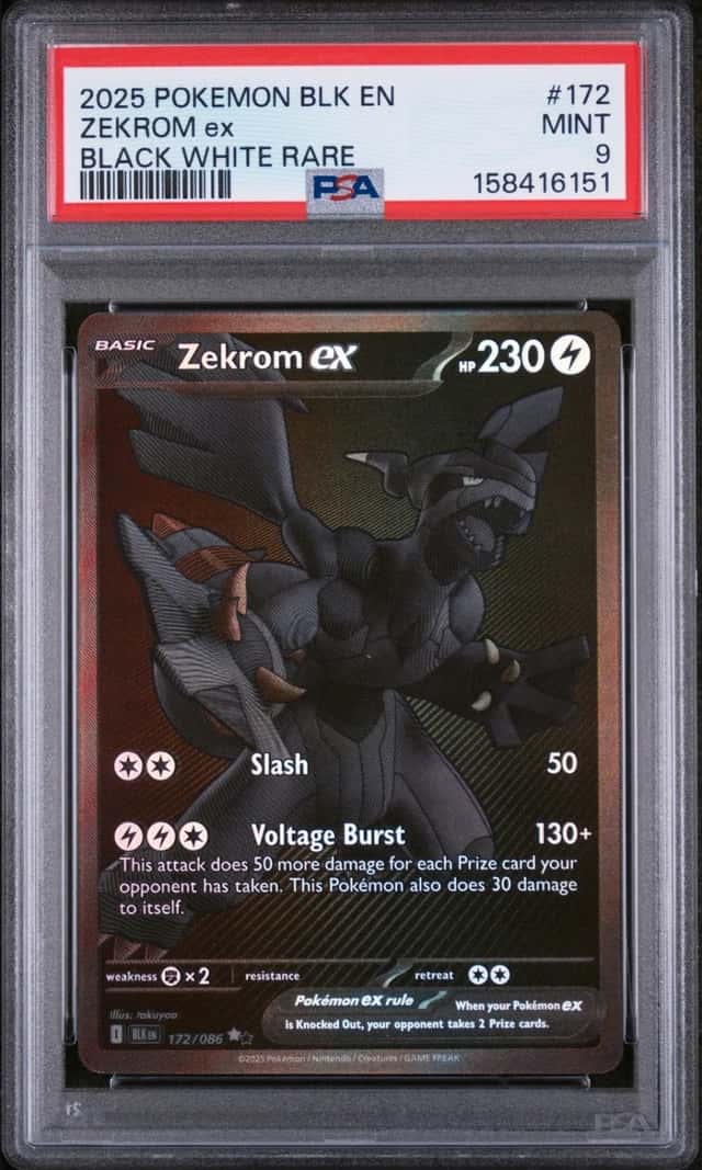 ZEKROM ex