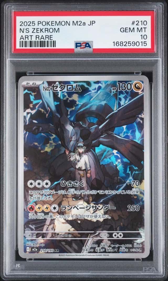 N's Zekrom