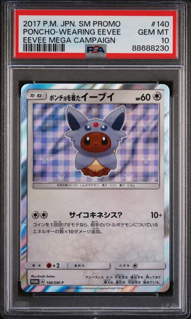 Poncho-Wearing Eevee