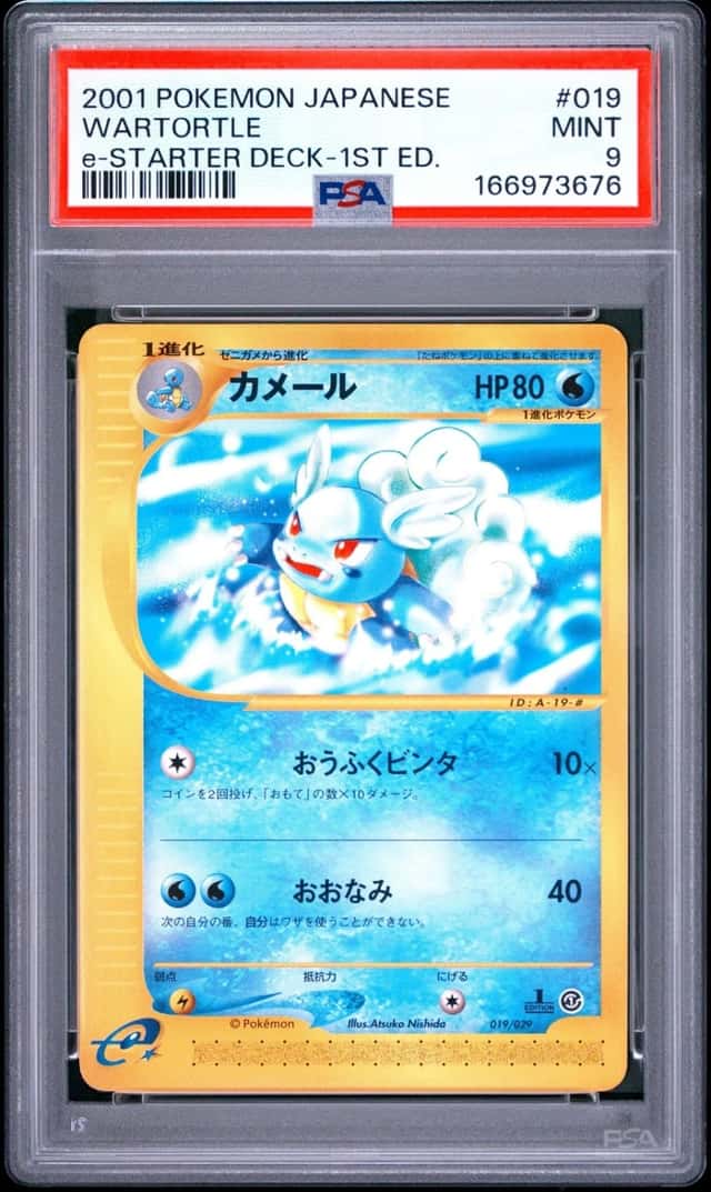 Wartortle