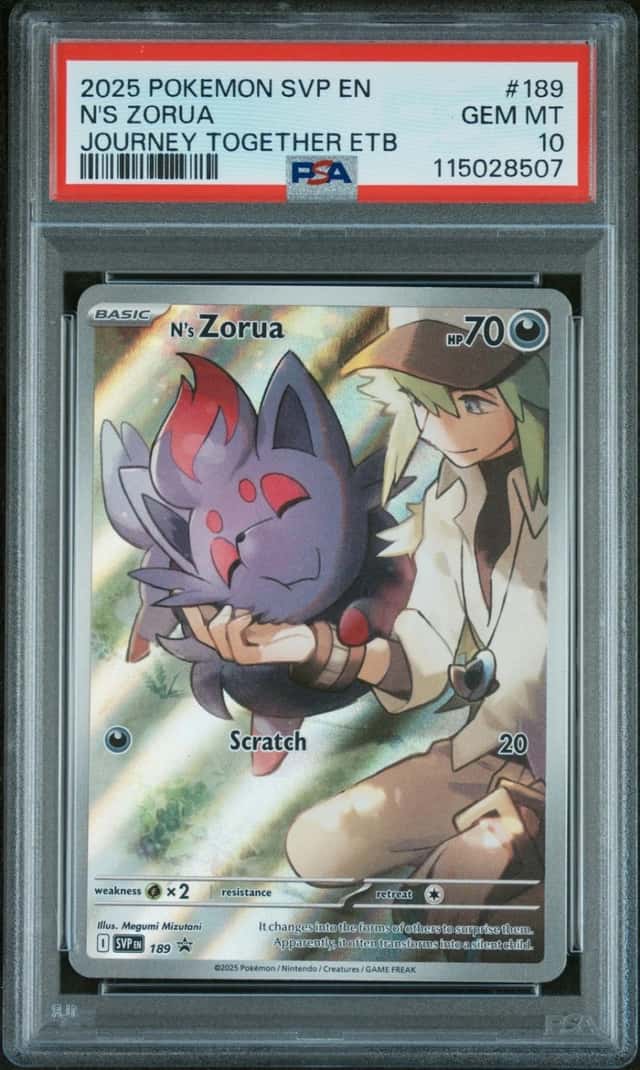 N's Zorua