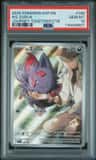 N'S Zorua
