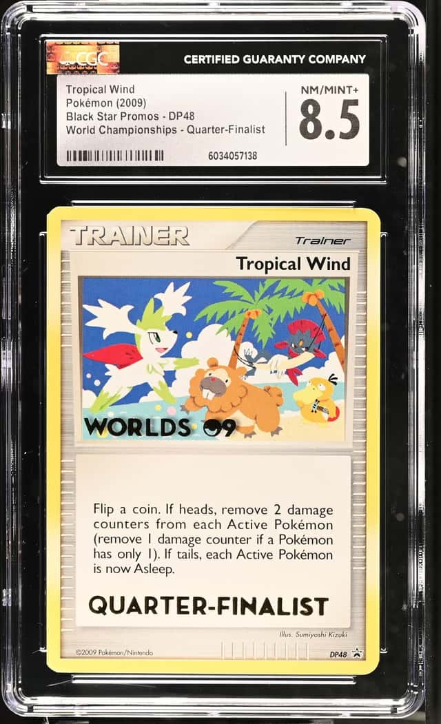 Tropical Wind