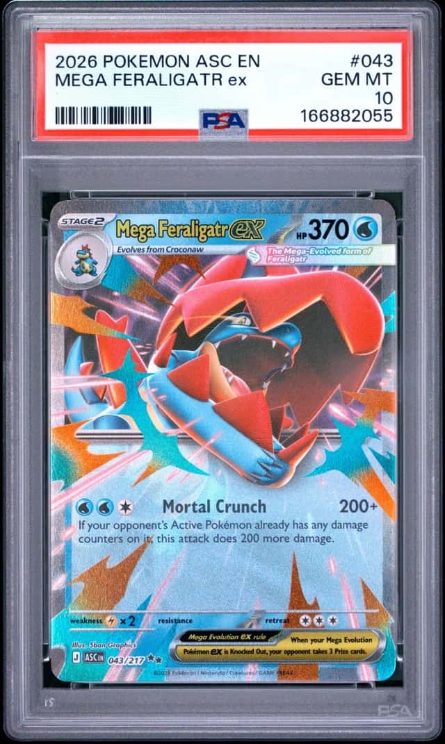 MEGA FERALIGATR ex