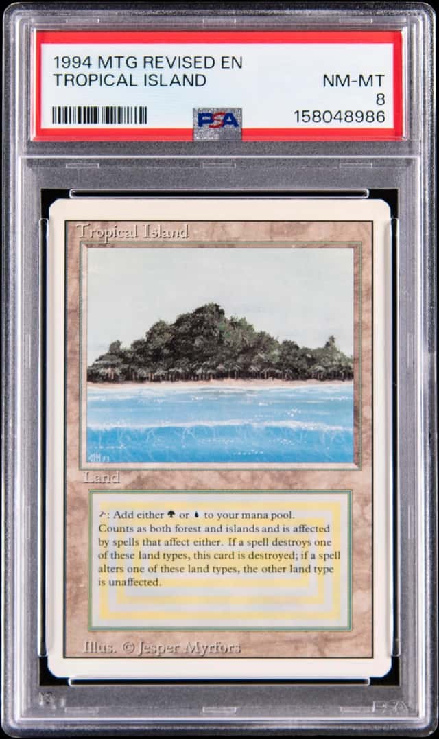 Tropical Island