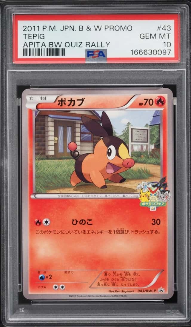 Tepig
