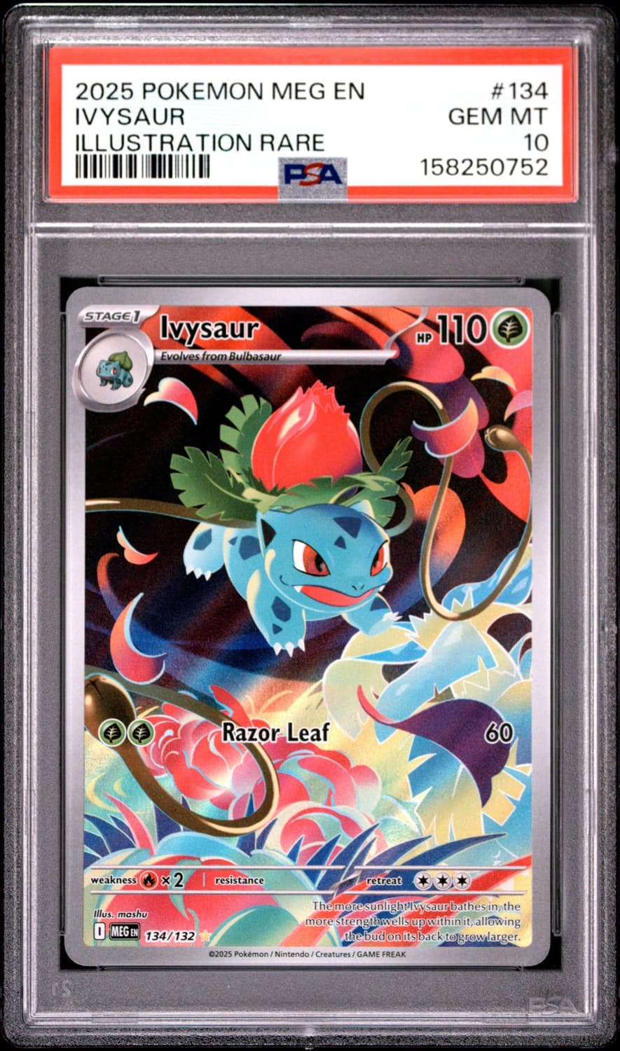 Ivysaur