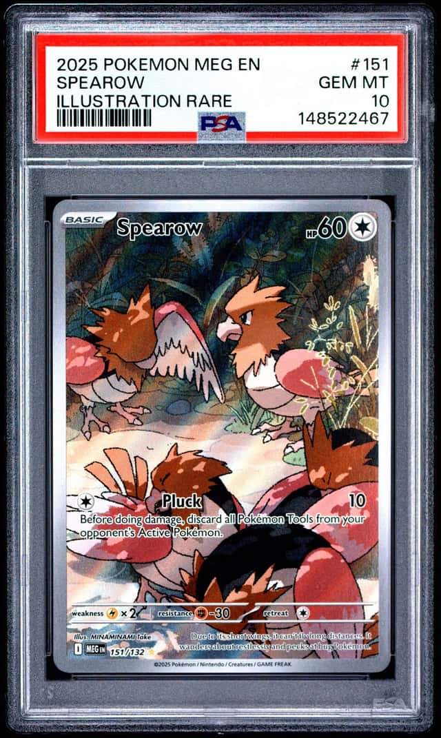 Spearow
