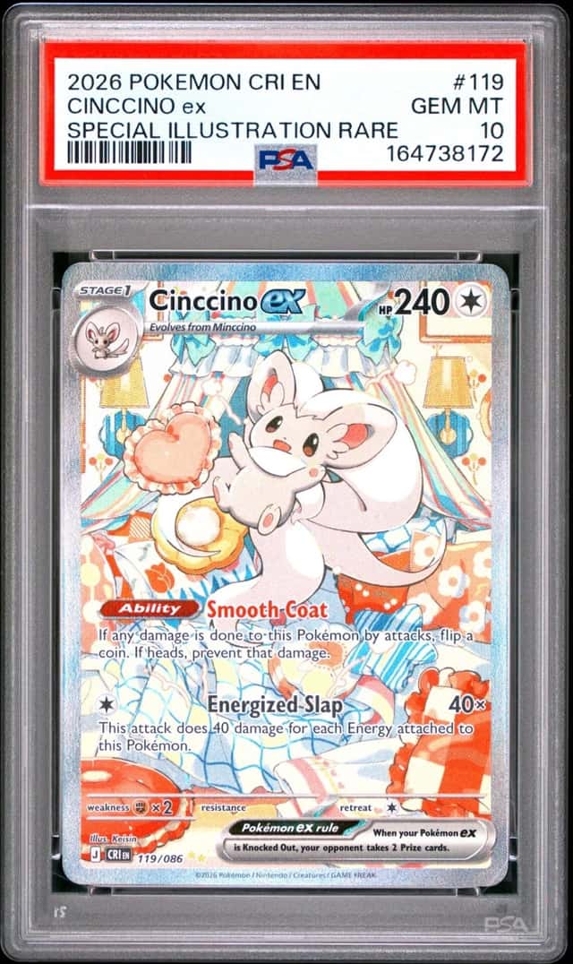 CINCCINO ex