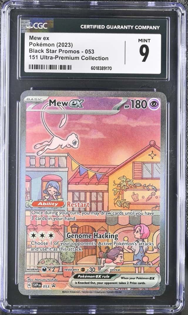 MEW ex