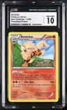 Arcanine