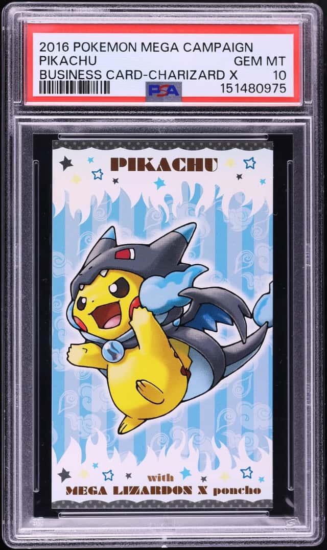 Pncho