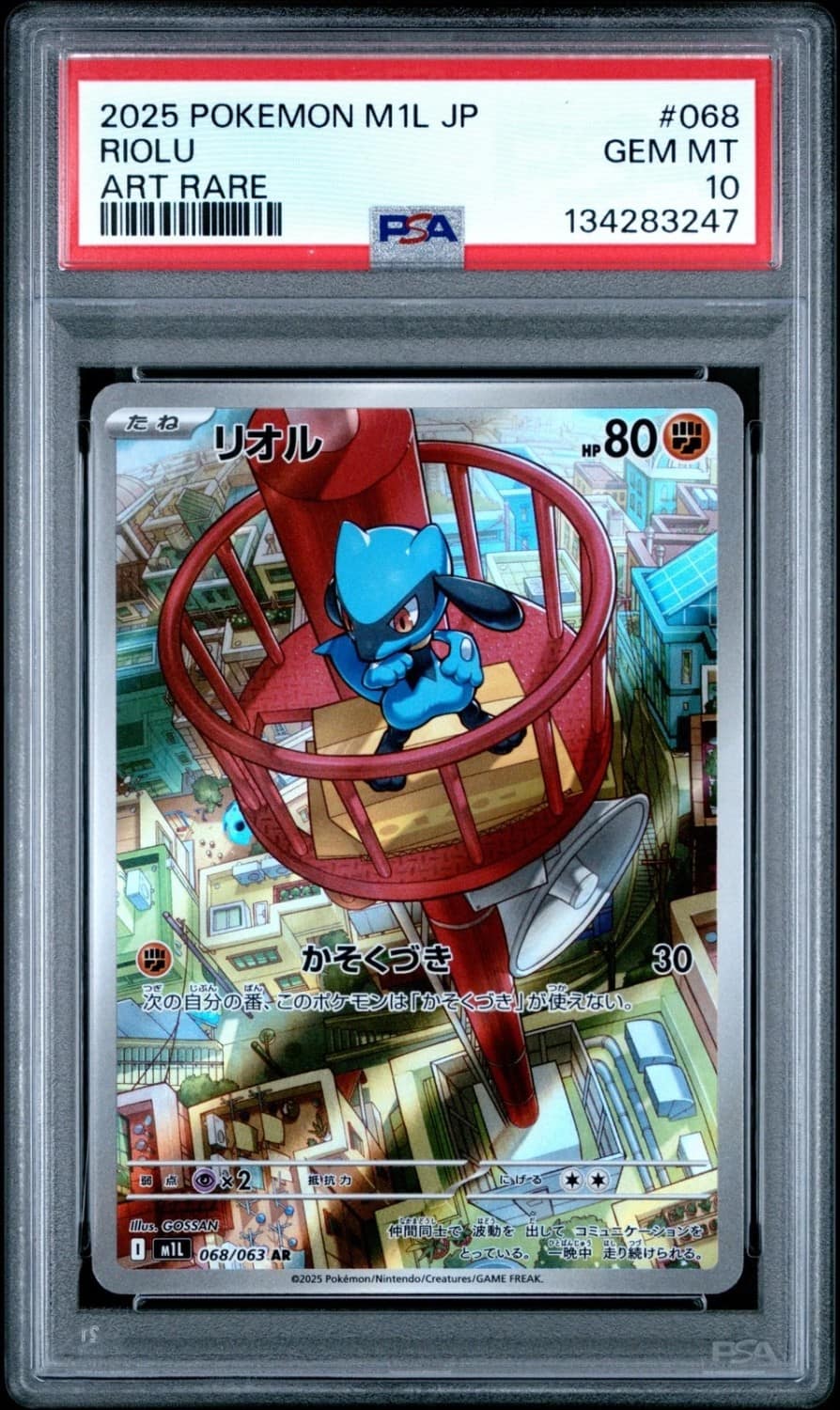 Riolu