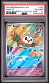 Rowlet