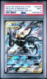 Pikachu & Zekrom Gx